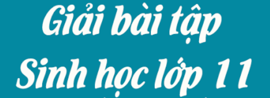 Giải bài tập Loga