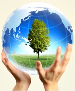 Những tài nguyên thiên nhiên nào có khả năng tự tái tạo sau khi được sử dụng và khai thác hợp lý?
