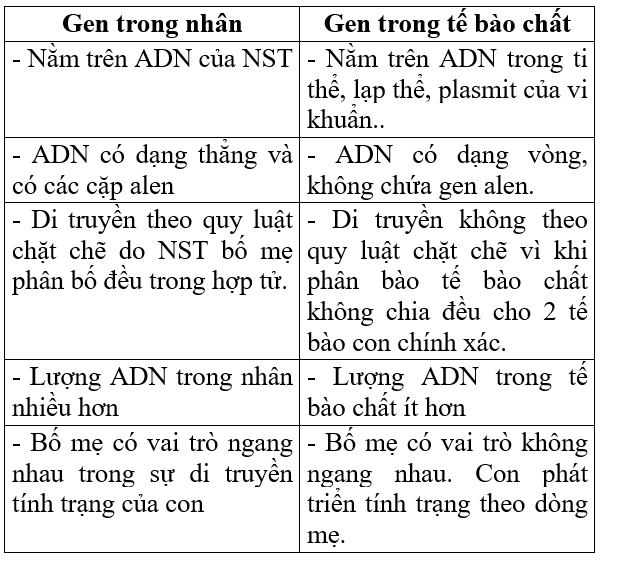 Bài 1. Gen, mã di truyền và quá trình nhân đôi ADN