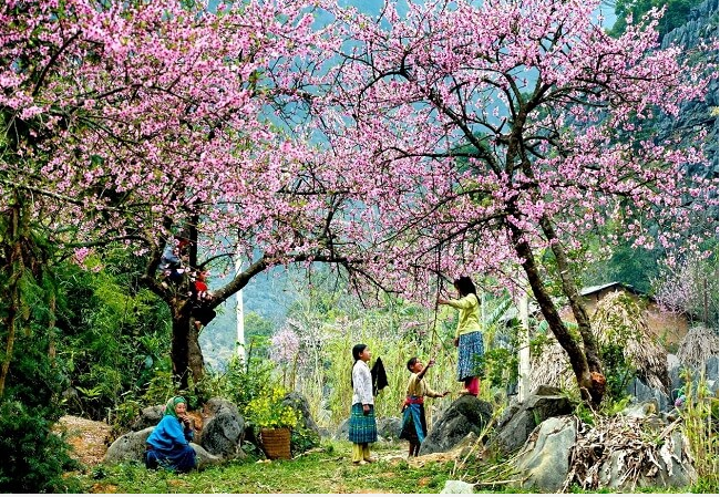 Mùa xuân nho nhỏ - Thanh Hải