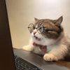 user-avatar