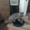 user-avatar