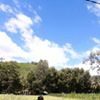 user-avatar