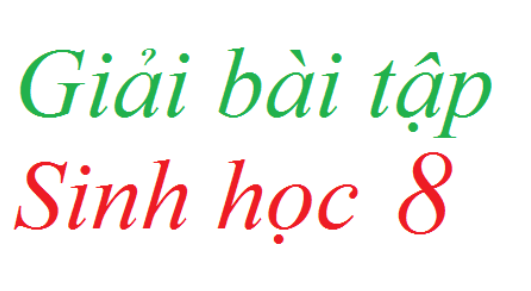 Giải bài tập Loga