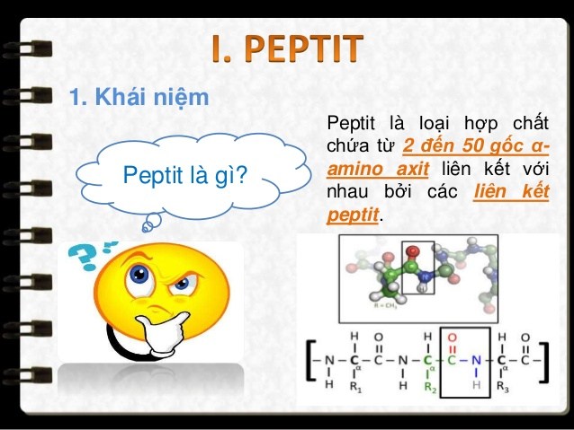 Liên kết peptide  Wikipedia tiếng Việt