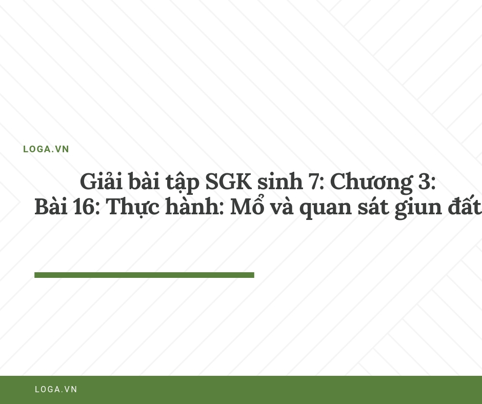 Giải bài tập Loga