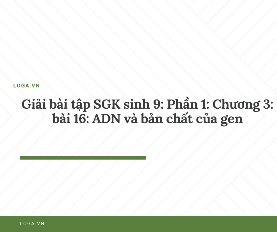 Giải bài tập Loga