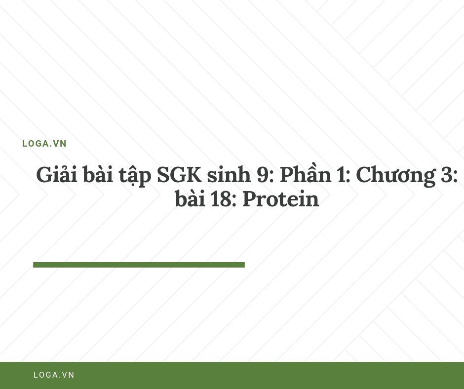 Giải bài tập Loga