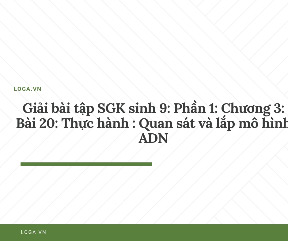 Giải bài tập Loga