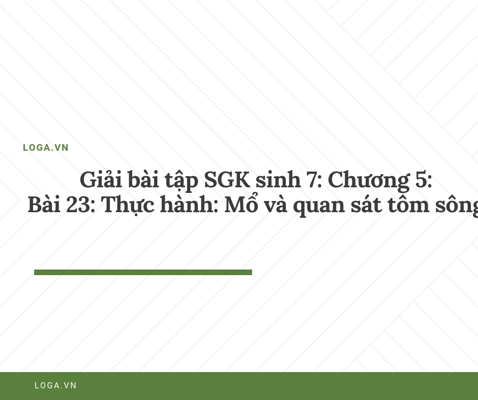 Giải bài tập Loga