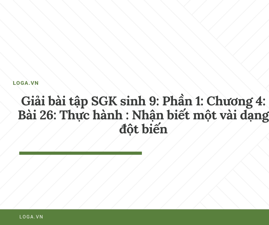 Giải bài tập Loga