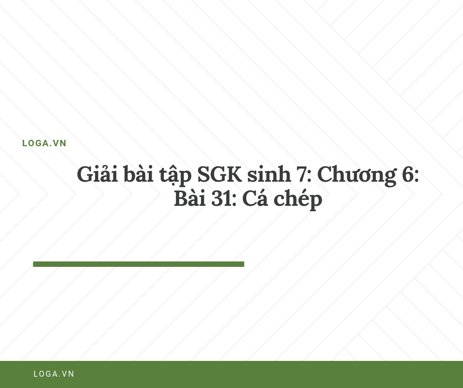 Giải bài tập Loga