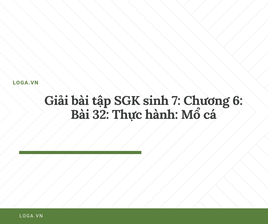 Giải bài tập Loga