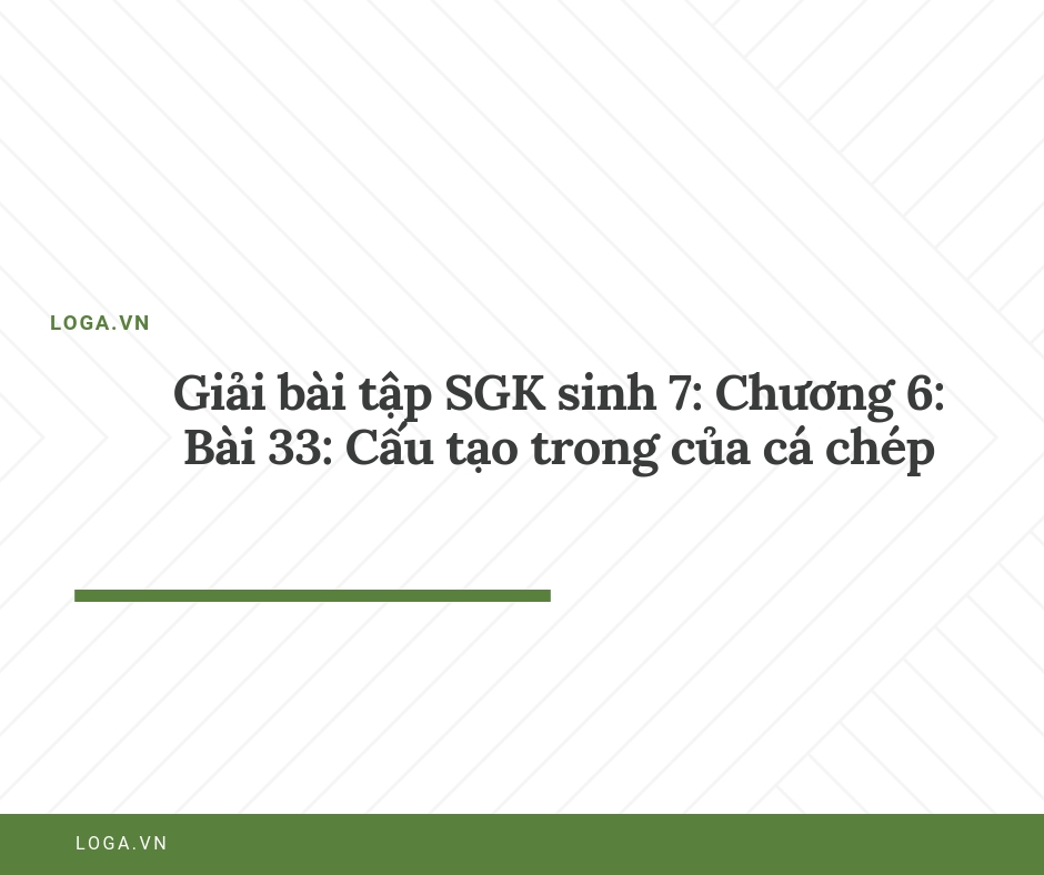 Giải bài tập Loga