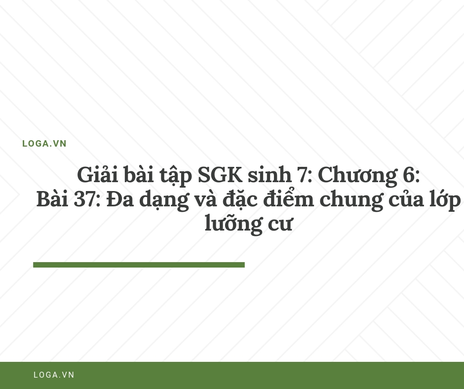 Giải bài tập Loga