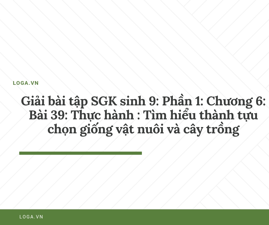 Giải bài tập Loga