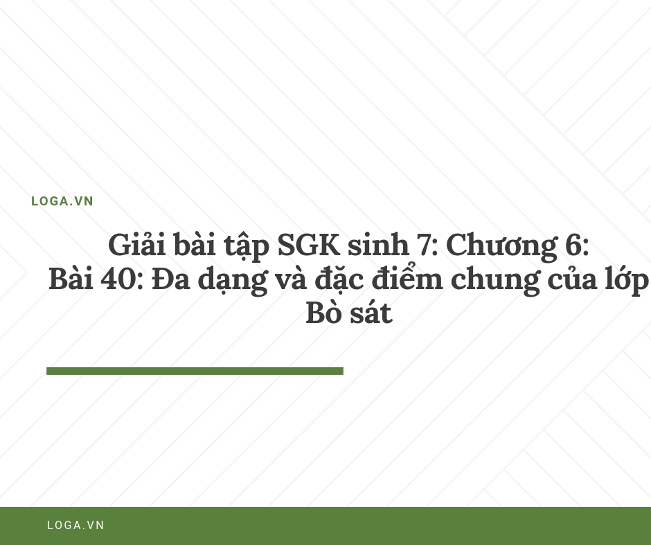 Giải bài tập Loga
