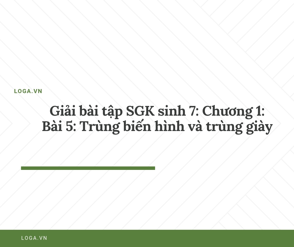 Giải bài tập Loga