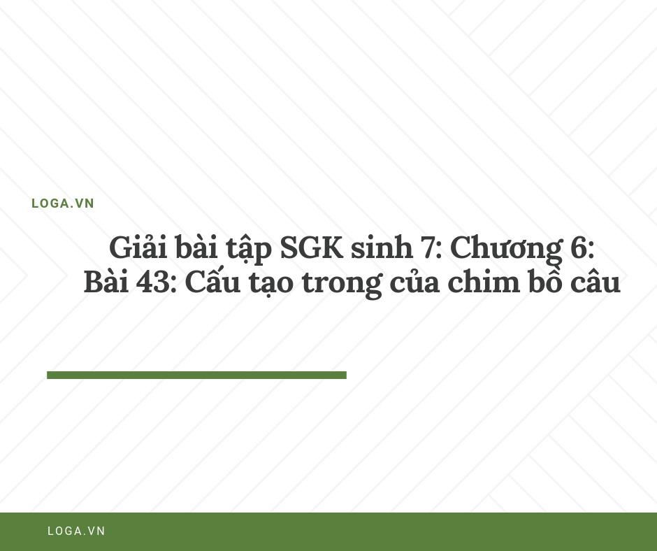 Giải bài tập Loga