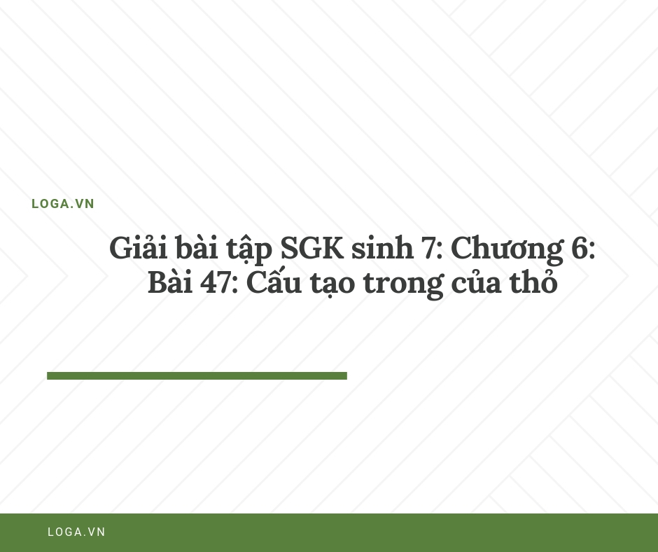 Giải bài tập Loga
