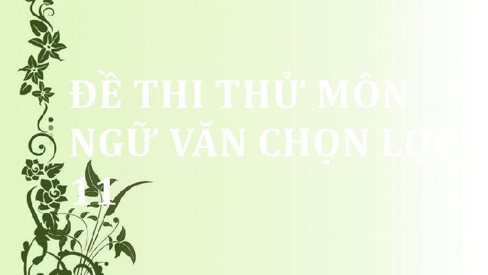 de-thi-thu-mon-ngu-van-chon-loc-11