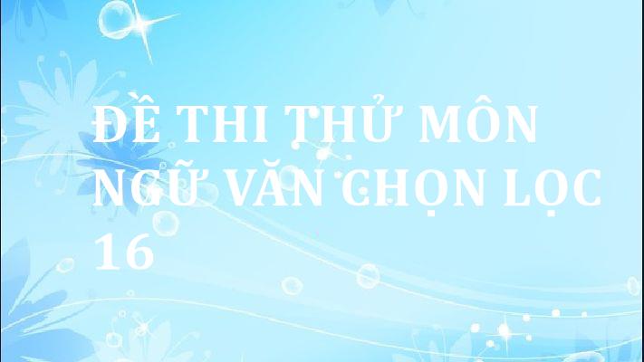 de-thi-thu-mon-ngu-van-chon-loc-16