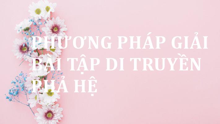 Phương pháp giải bài tập di truyền phả hệ