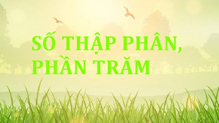 so-thap-phan-phan-tram
