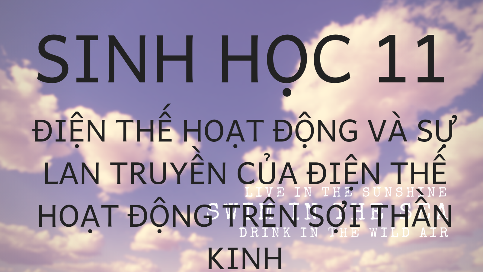sinh-hoc-11-dien-the-hoat-dong-va-su-lan-truyen-cua-dien-the-hoat-dong-tren-soi-than-kinh